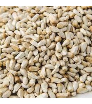 Haspir Tohumu-aspir Dikeni Tohumu