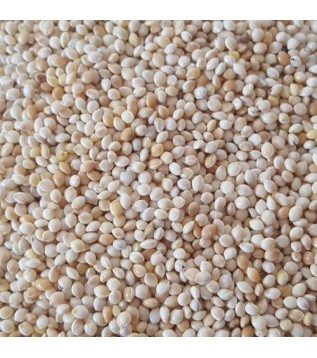 Kuş Yemi Kumdarı Kuş Yemi Kumdarı