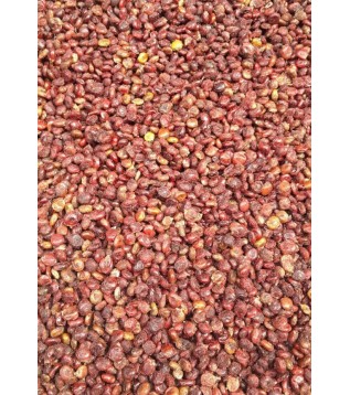 Sumak Tane 100 GR Sumak Tane 100 GR