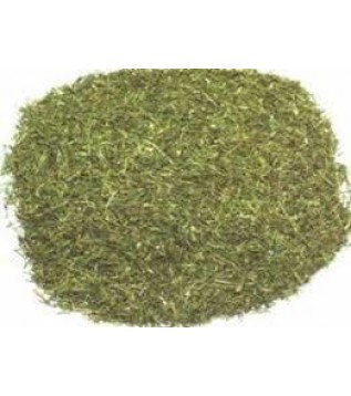 Dereotu Kurusu Yaprak Mısır Menşei Dereotu Kurusu Yaprak Mısır Menşei