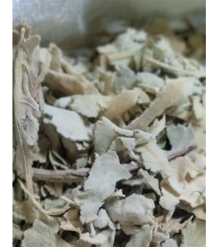 Sığır Kuyruğu Yaprağı