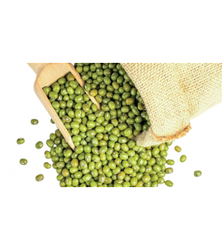 Maş Fasülyesi Maş Fasülyesi