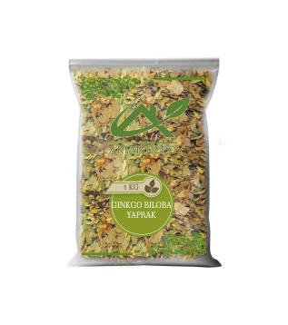 GinKgo Biloba Yaprak 250GR GinKgo Biloba Yaprak 250GR