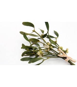 Ökse Otu 500g Ökse Otu 500g