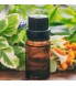 Nival Tarhun Otu Yağı 20 Ml