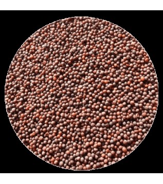Şalgam Tohumu 500g Şalgam Tohumu 500g