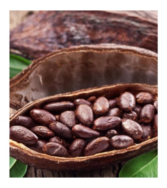 Saf Katı Kakao Yağı 1000 gr Aktar Diyarı