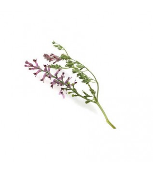 Şahdere Otu-şahtere Otu 500g Şahdere Otu-şahtere Otu 500g