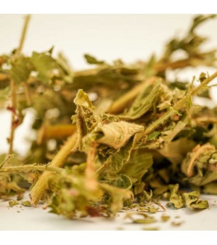 Koyun Otu (fıtık Otu-kasık Otu) 500g Koyun Otu (fıtık Otu-kasık Otu) 500g