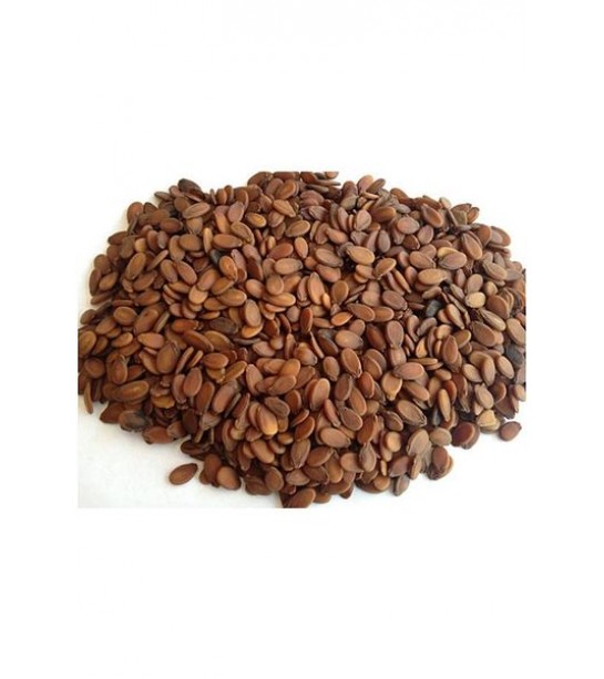 Dardağan Tohumu 500gr Dardağan Tohumu 500gr
