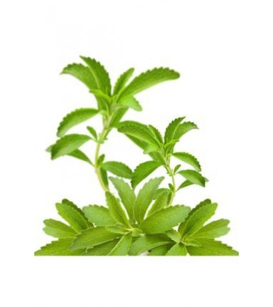 Stevia Bitki 500gr Stevia Bitki 500gr