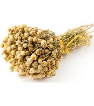 Üzerlik Otu Demet 500g Üzerlik Otu Demet 500g