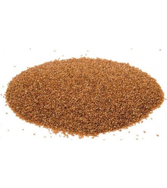 Teff Tohumu Teff Tohumu