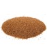 Teff Tohumu Teff Tohumu