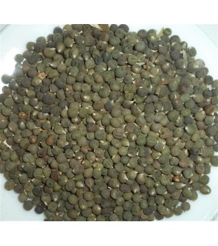 Bamya Tohumu 500g Bamya Tohumu 500g