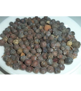 Ardıç Tohumu Siyah 500g Ardıç Tohumu Siyah 500g