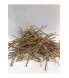 çin Geveni-astragalus çin Geveni-astragalus