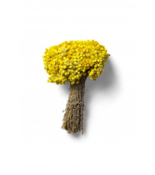 Sarı Solmaz Demet 500g Sarı Solmaz Demet 500g