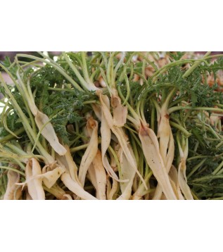 Şevketi Bostan Otu 500g Şevketi Bostan Otu 500g