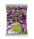 çayır üç Gülü-yonca çiçekli 500gr