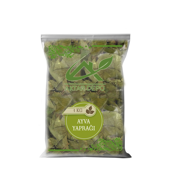 Ayva Yaprağı Ayva Yaprağı